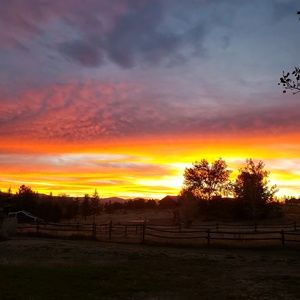 Meet your Posher, Allie